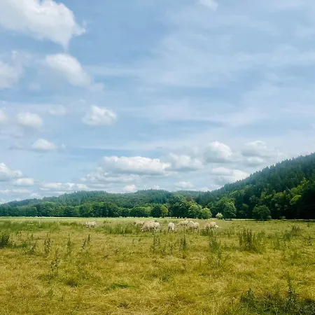 La Balade Du Ricochet 別荘 Tenneville