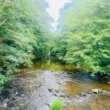 La Balade Du Ricochet 別荘 Tenneville