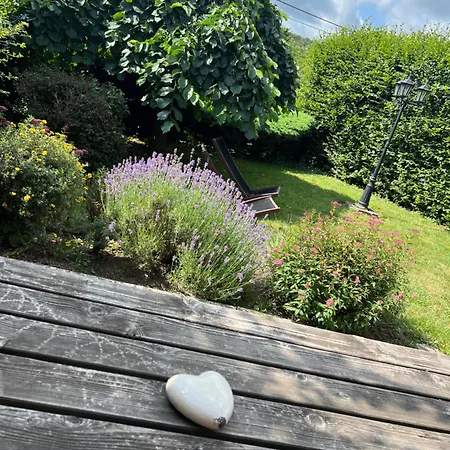 La Balade Du Ricochet