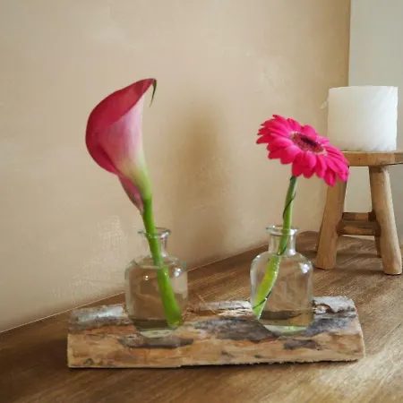 La Balade Du Ricochet 別荘 *