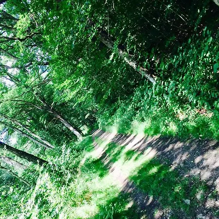 別荘 La Balade Du Ricochet Tenneville