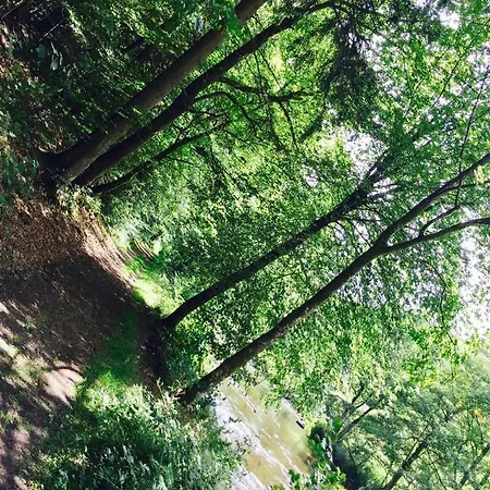 La Balade Du Ricochet Tenneville